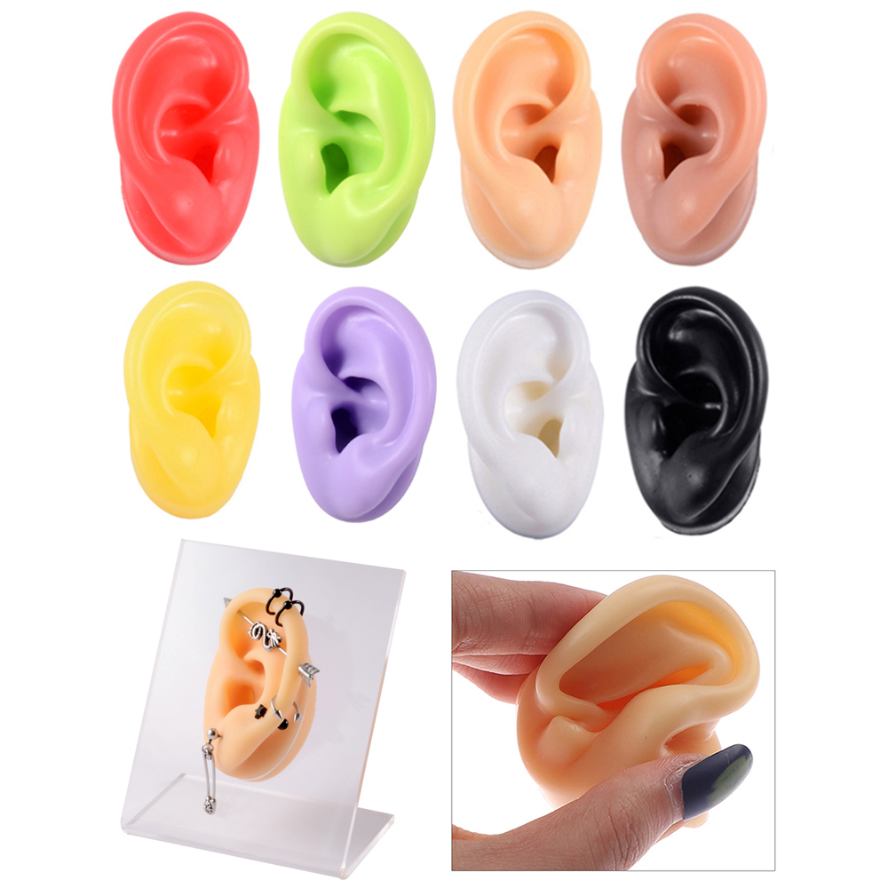 1 buah anting-anting Model tel - Model Kit Display Case ulasan dan harga